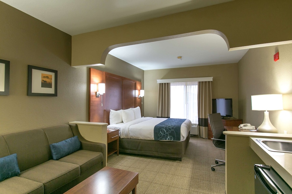 Suite, 1 King Bed, Accessible, Non Smoking - Photo 2