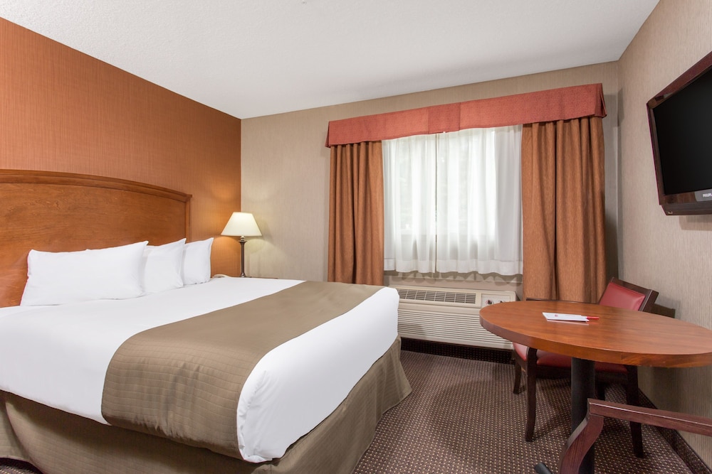 Deluxe Single Room, 1 Queen Bed - Photo 1