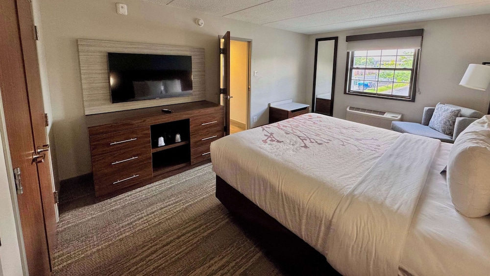 Suite, 1 King Bed with Sofa bed, Non Smoking (Upgrade) photo 3