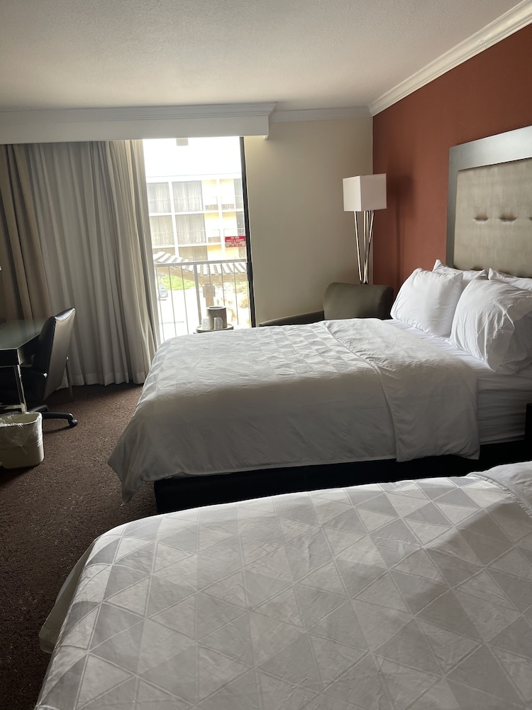Standard Room, 2 Queen Beds, Courtyard View - Photo 7