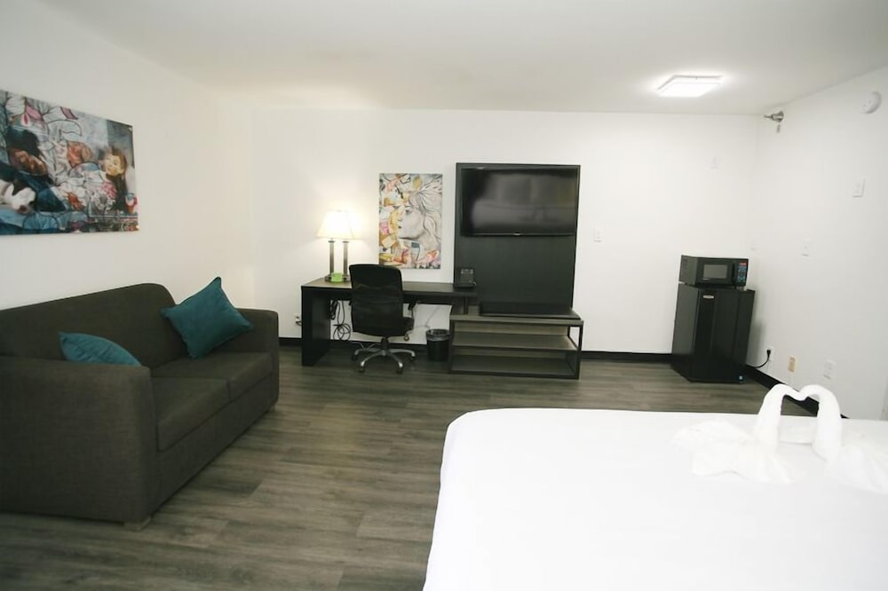 Studio Suite, 1 King Bed, Non Smoking (Pet-Friendly) photo 1