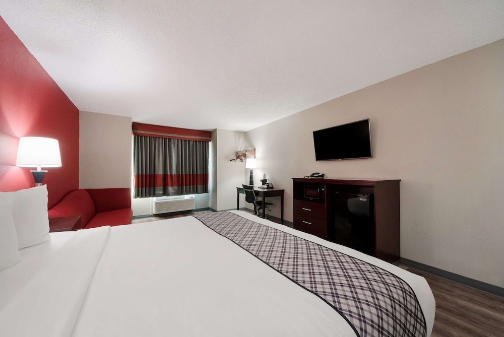 Standard Room, 1 King Bed, Non Smoking, Refrigerator & Microwave (with Sofabed) - Photo 4