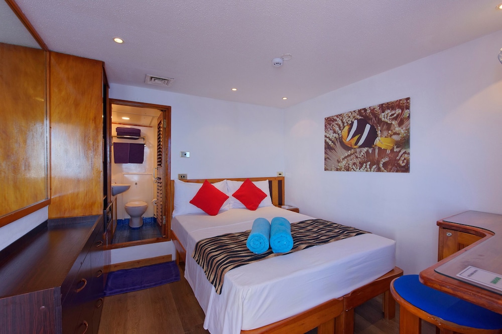 Bridge Deck Cabin photo 2