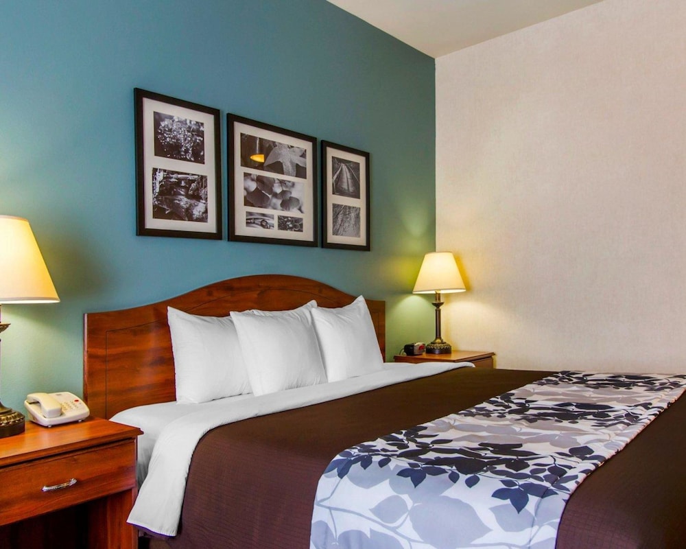 Room, 1 King Bed, Accessible, Non Smoking photo 3