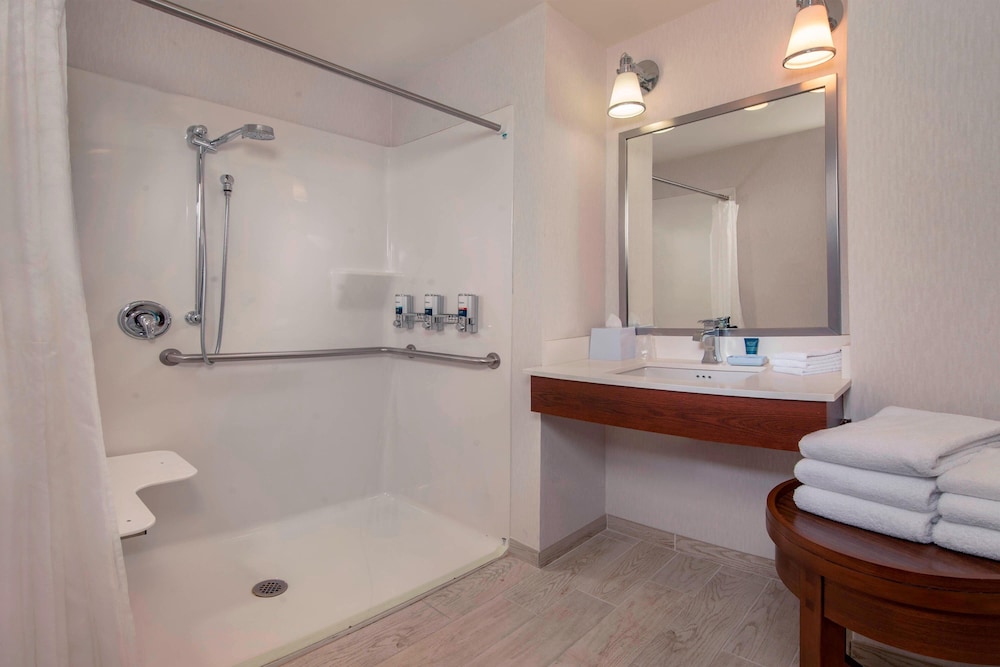 Classic Room, 1 King Bed with Sofa bed, Roll-in Shower (Mobility Accessible, Roll-In Shower) - Photo 5