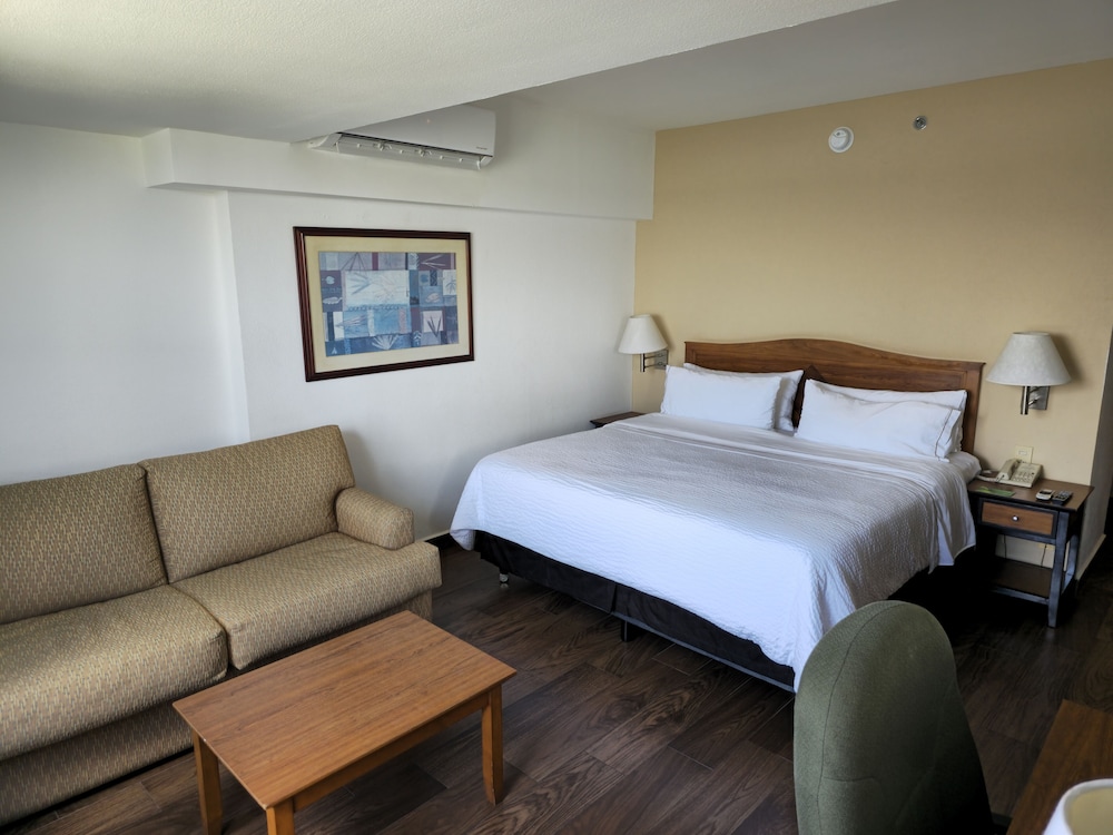 Superior Room, 1 King Bed, Lagoon View - Photo 3