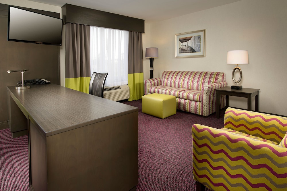 Studio Suite, 1 King Bed photo 2