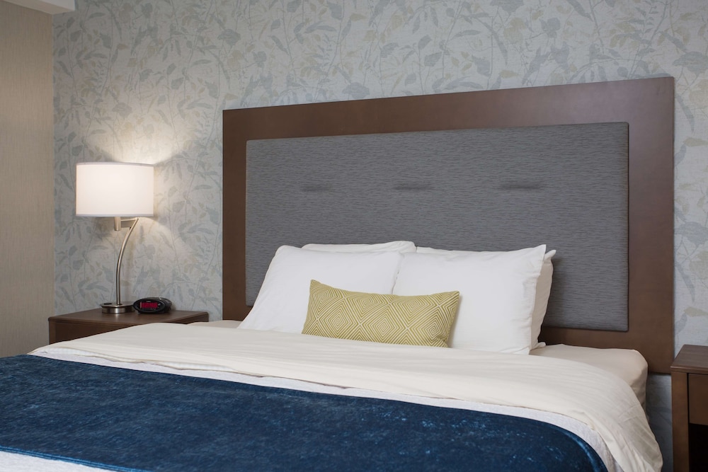 Suite, 1 King Bed, Non Smoking, Kitchen (Oversized Room, Full Kitchen) photo 3