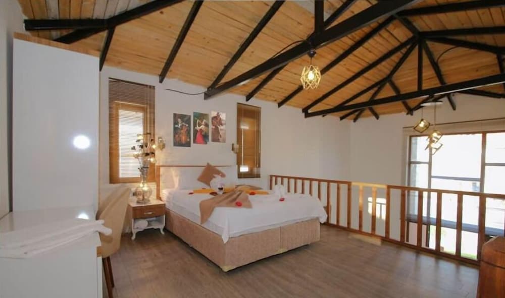 Deluxe Villa photo 1