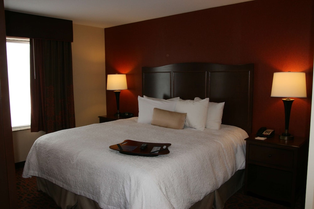 Studio Suite, 1 King Bed photo 1