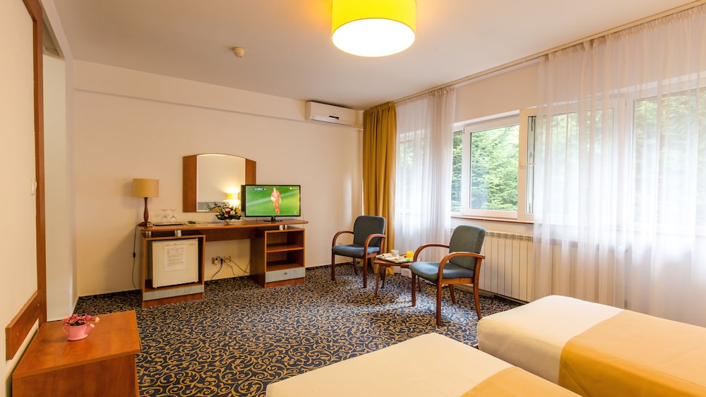 Superior Double or Twin Room photo 3