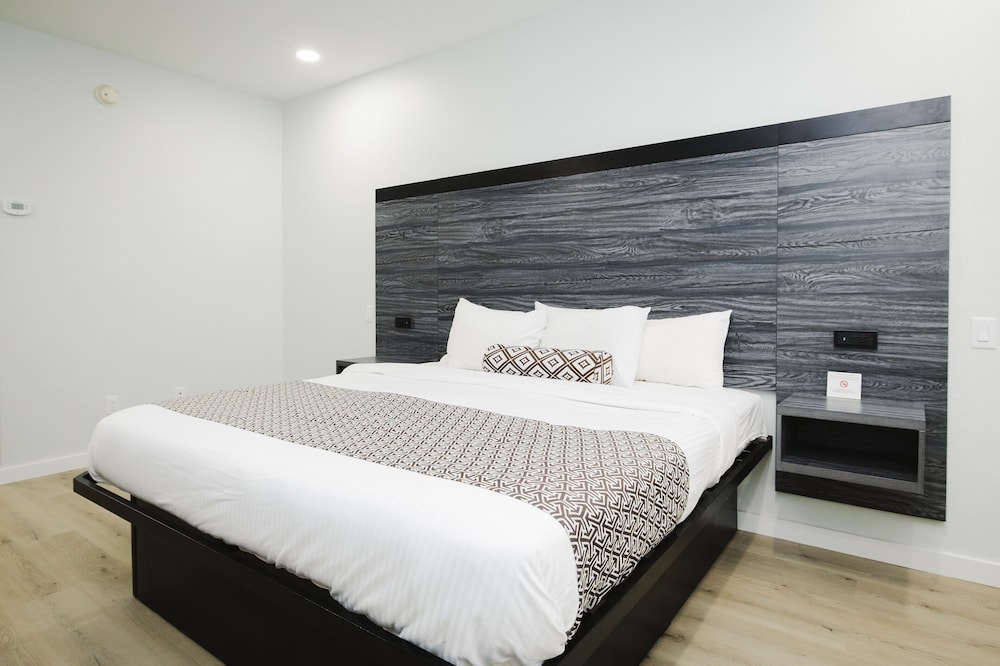 Standard Single Room, 1 King Bed, Non Smoking photo 3