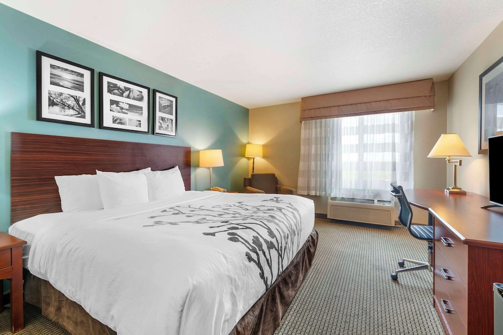 Standard Room, 1 King Bed, Non Smoking - Photo 1