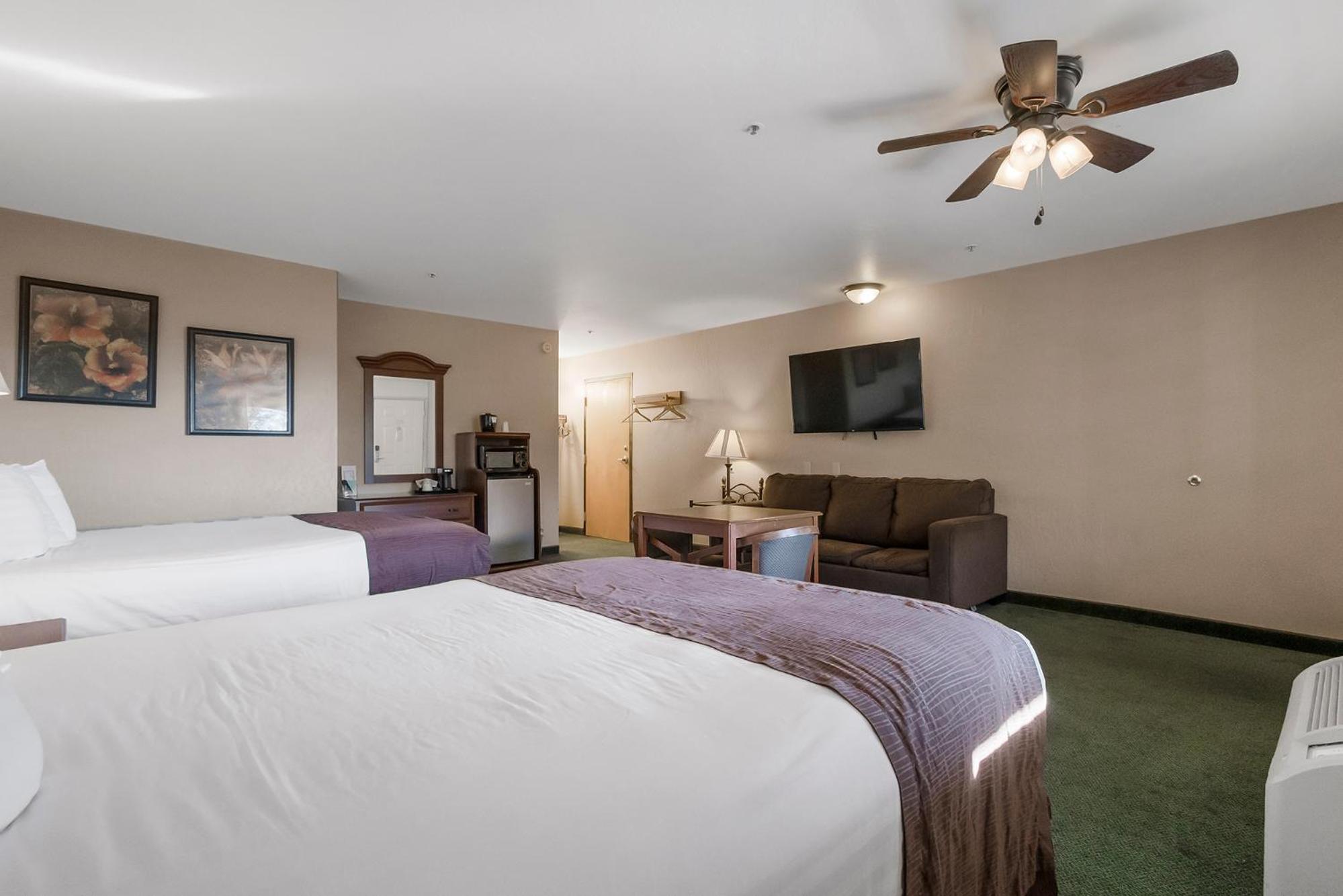 Mini Suite photo 3