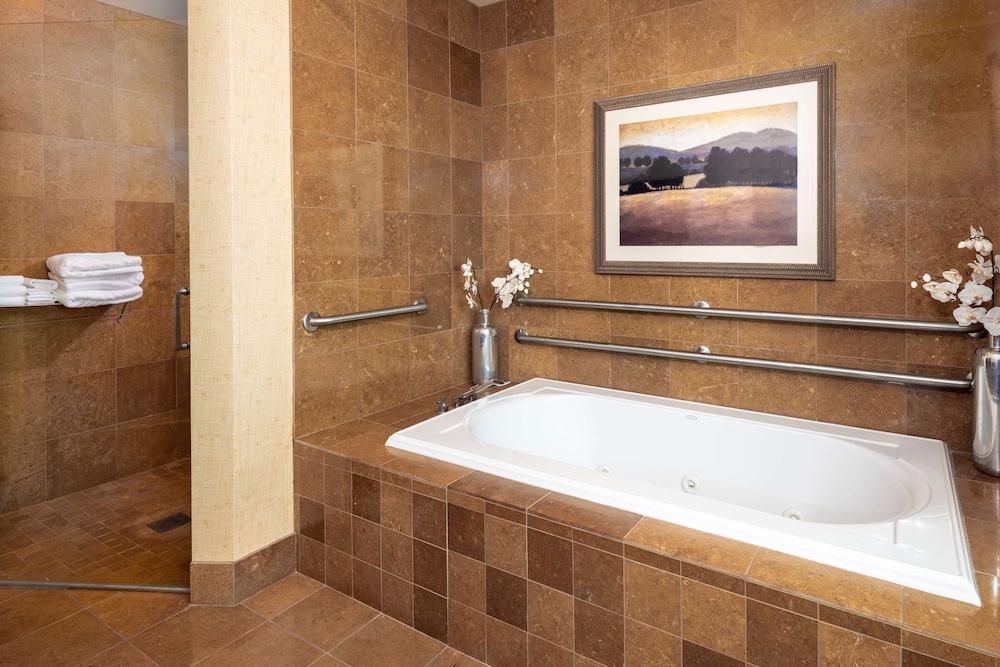 Presidential Suite, 1 King Bed photo 3