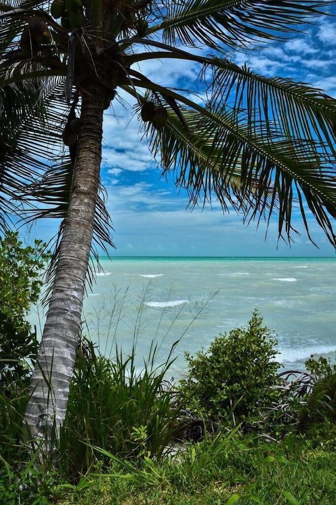 Family Bungalow, 1 Bedroom, Private Bathroom, Sea View photo 2