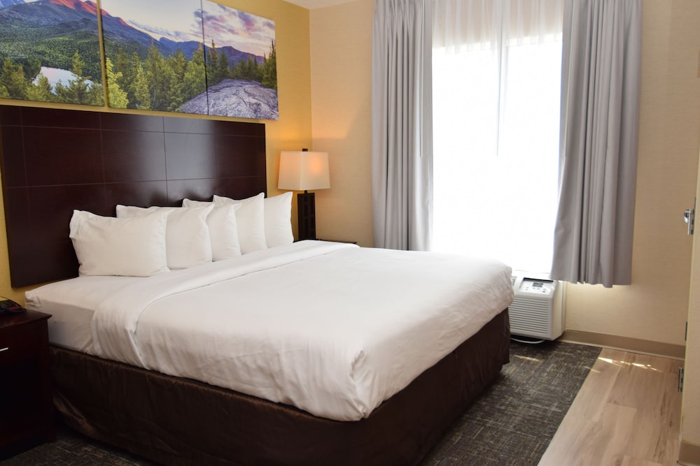 Suite, 1 King Bed with Sofa bed, Accessible, Non Smoking