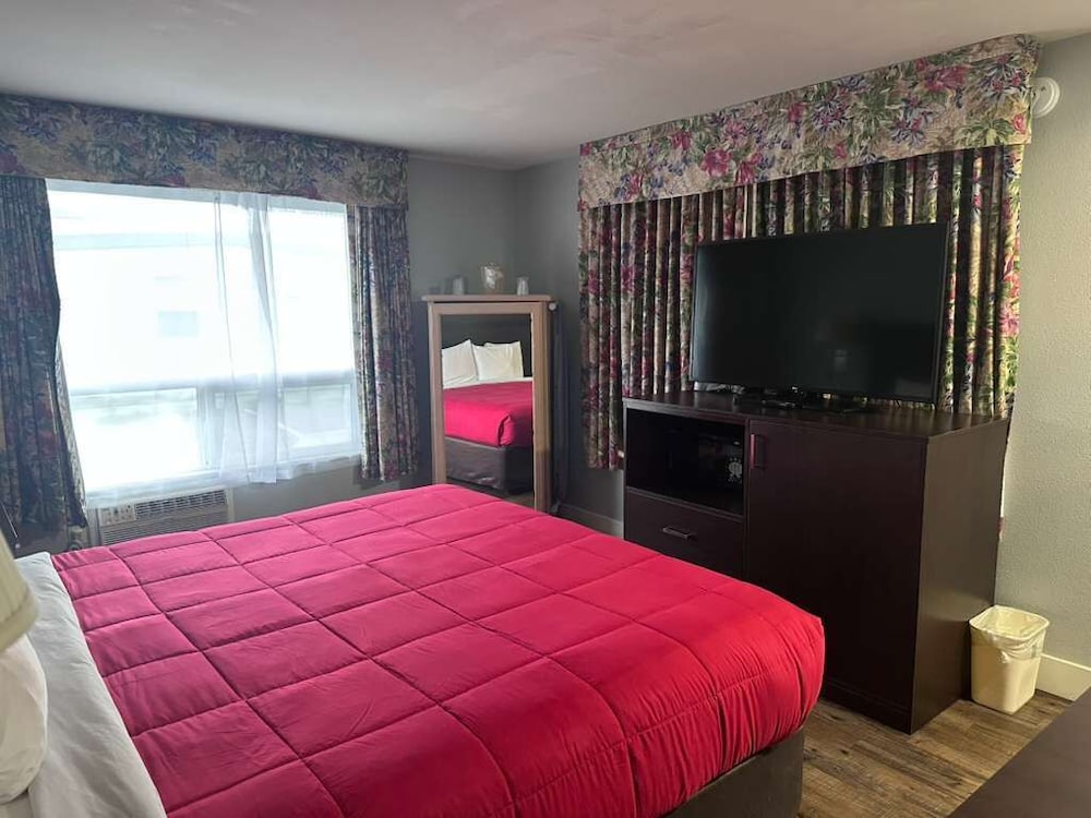 Single Room, 1 King Bed, Non Smoking