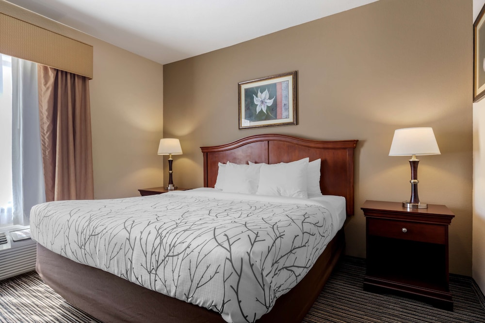 Suite, 1 King Bed, Non Smoking, Refrigerator & Microwave (with Sofabed) photo 2
