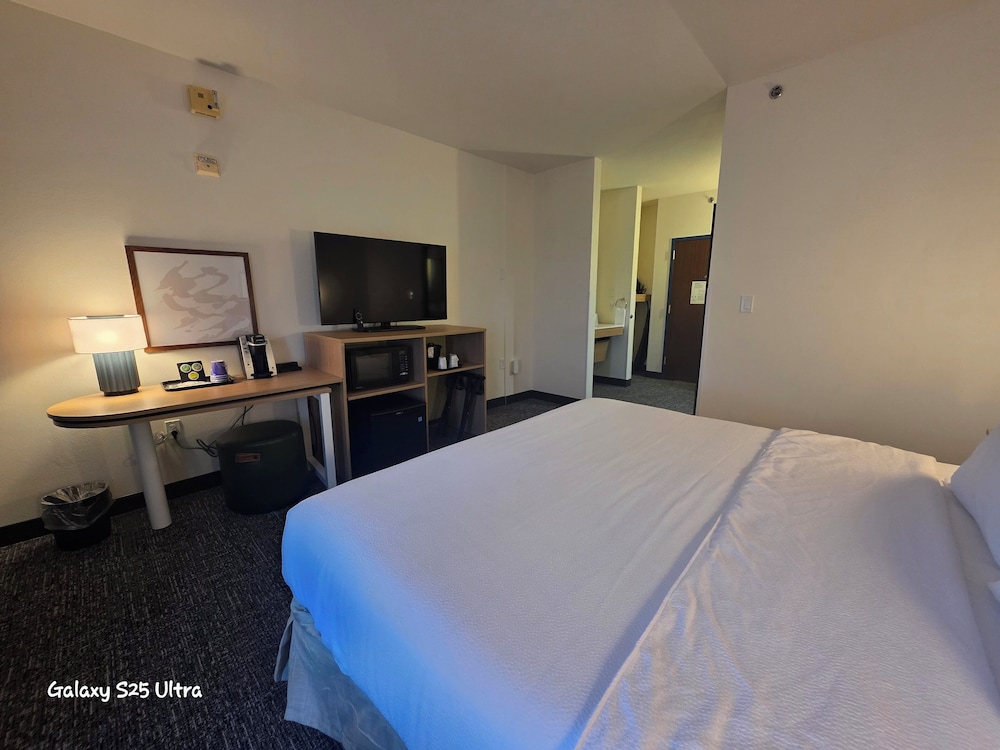 Room, 1 King Bed, Accessible (Mobility, Roll-In Shower) - Photo 2