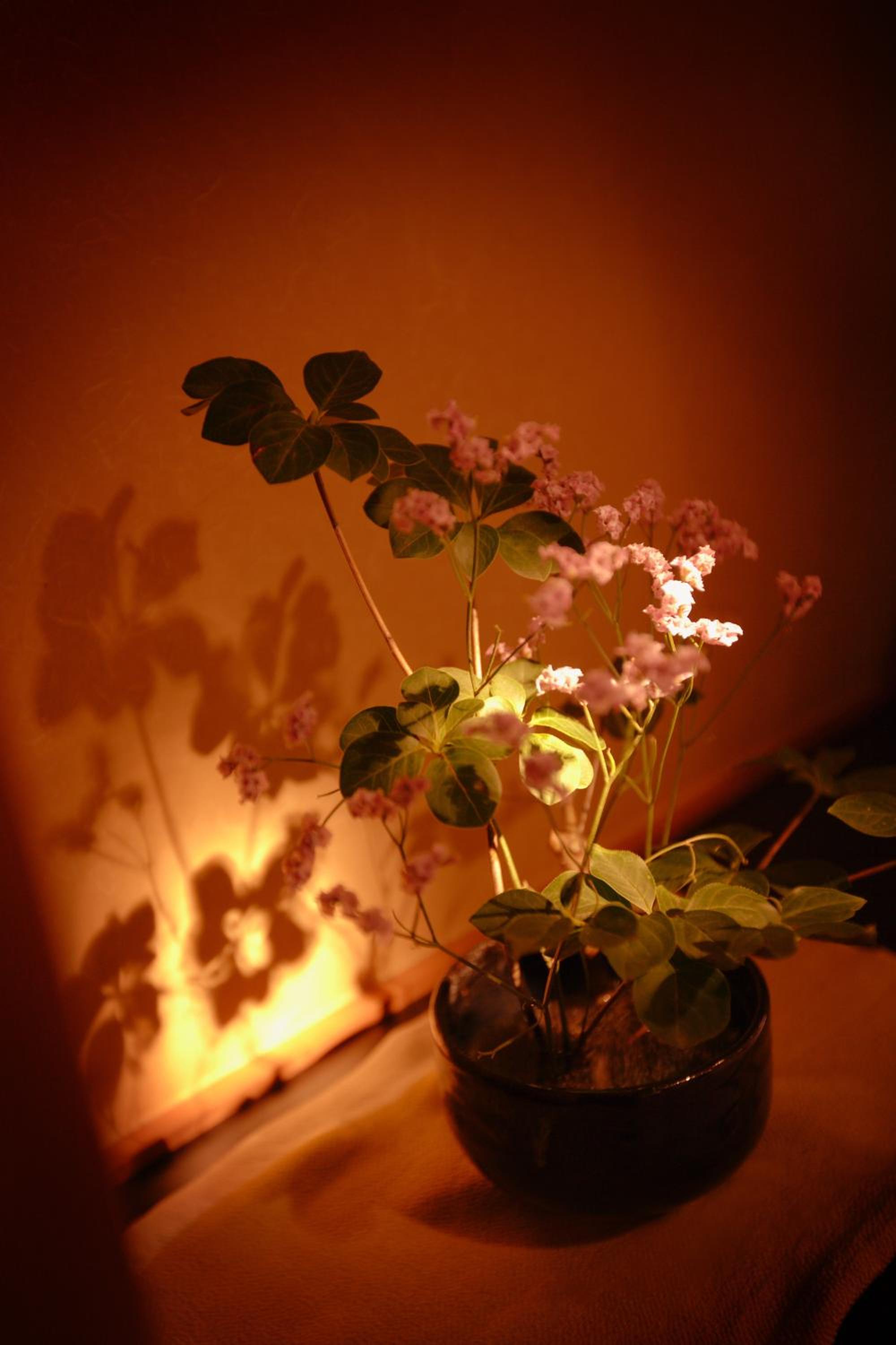 Deluxe Japanese-Style Room photo 2