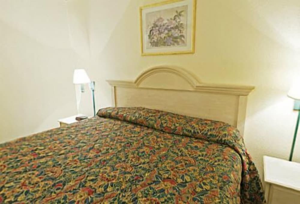 Room, 1 King Bed, Smoking - Photo 5
