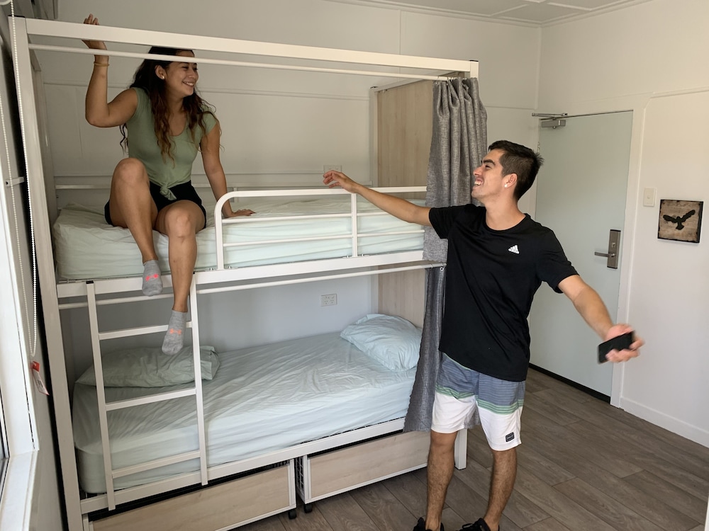 Large 4 Bed Mixed Dorm photo 1