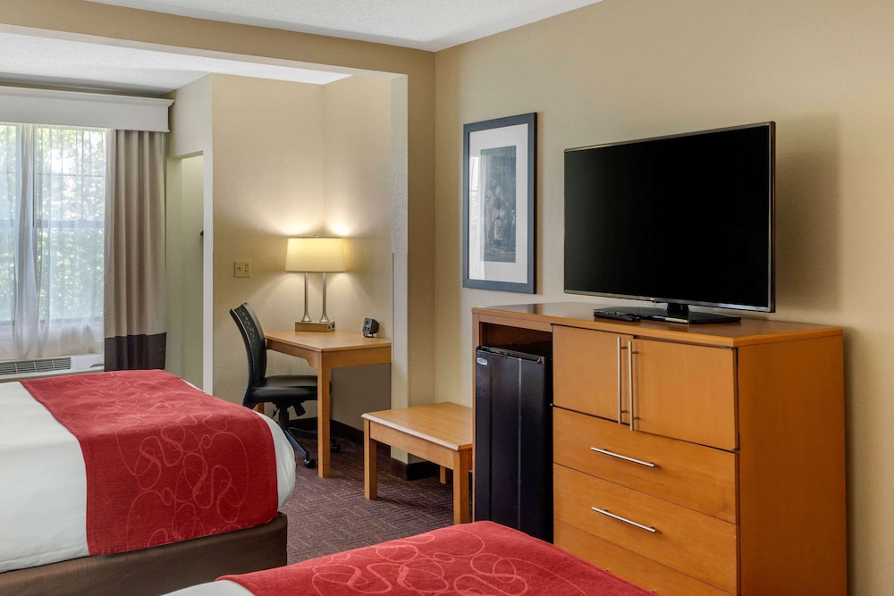 Suite, Multiple Beds, Non Smoking - Photo 4