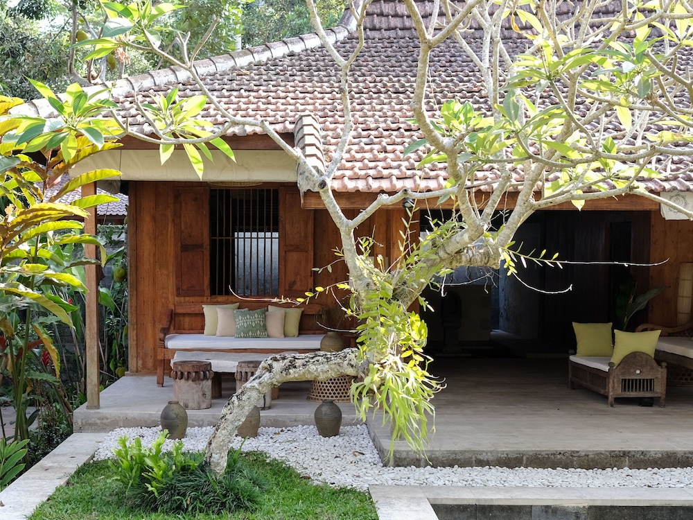 Deluxe Terrace Bungalow (Free Yoga Session) photo 3