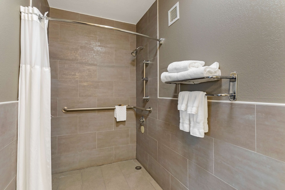 Standard Room, 1 King Bed, Accessible, Non Smoking (1st Floor;Pet Friendly) - Photo 4