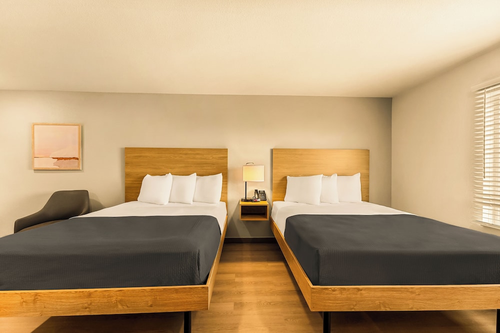 Studio Suite, 2 Queen Beds