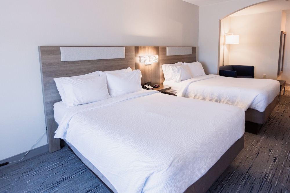 Suite, 1 Bedroom - Photo 1