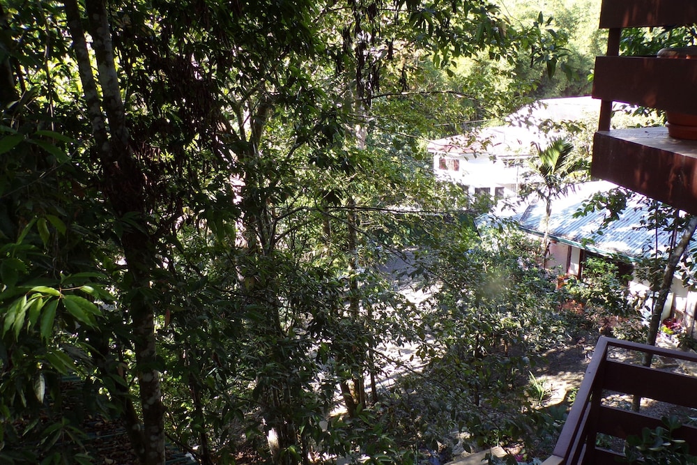 Panoramic Room, 1 Bedroom, Kitchenette, Mountain View photo 2