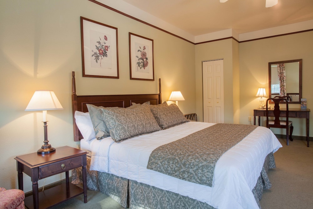 Suite, 1 King Bed photo 1