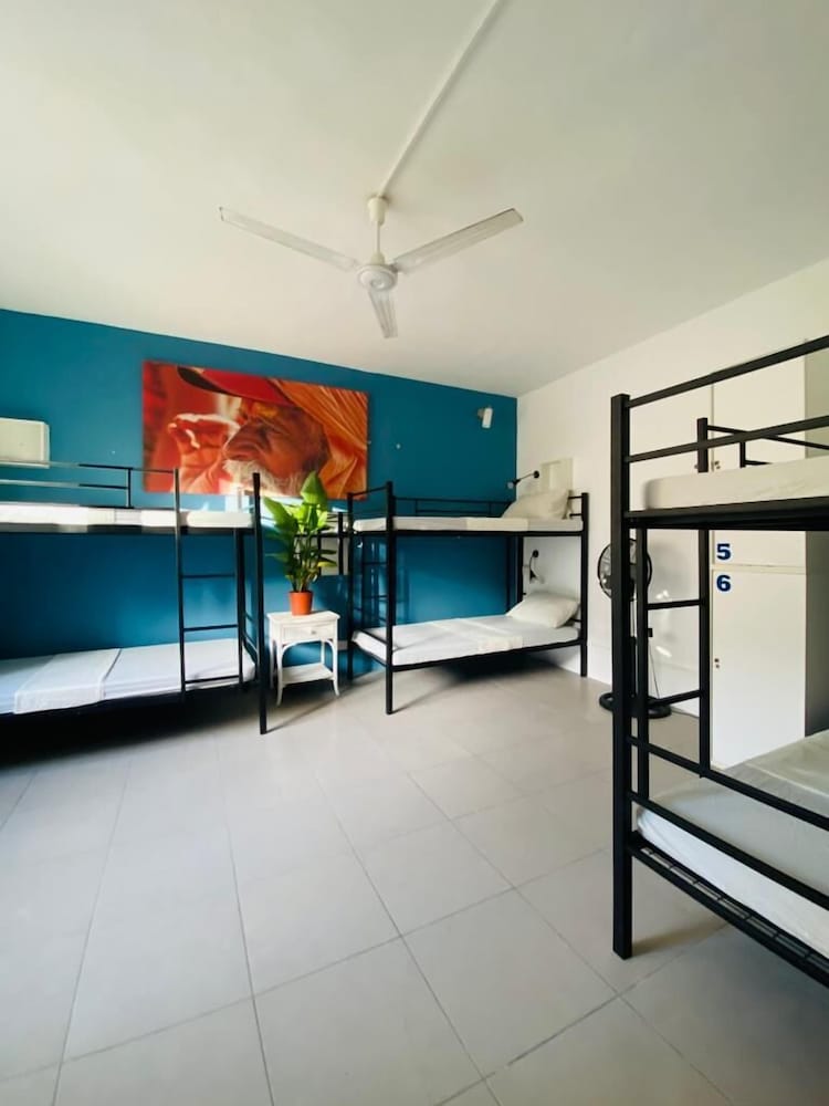 Basic Shared Dormitory