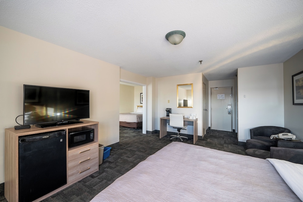 Executive Suite, Multiple Beds photo 1