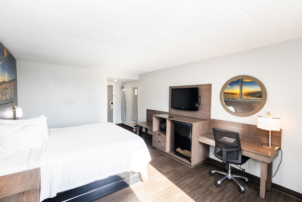 Room, 1 King Bed, Smoking photo 3