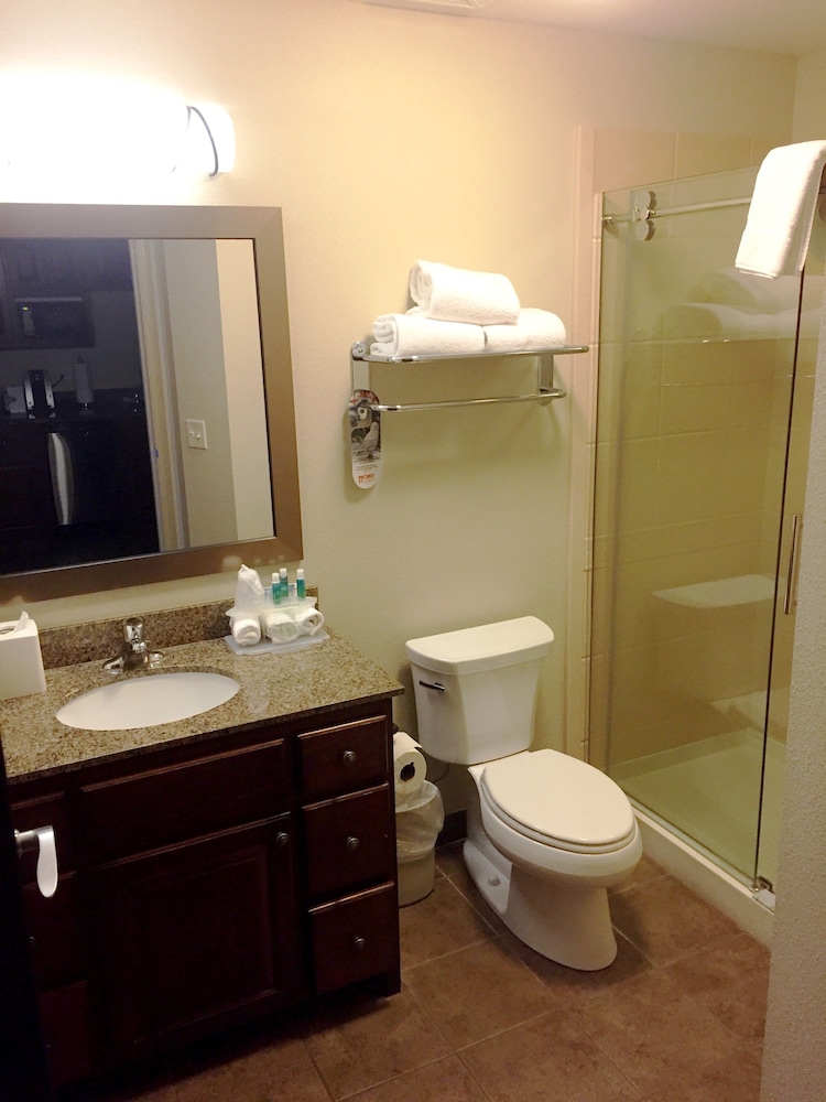 Suite, 1 Bedroom photo 3