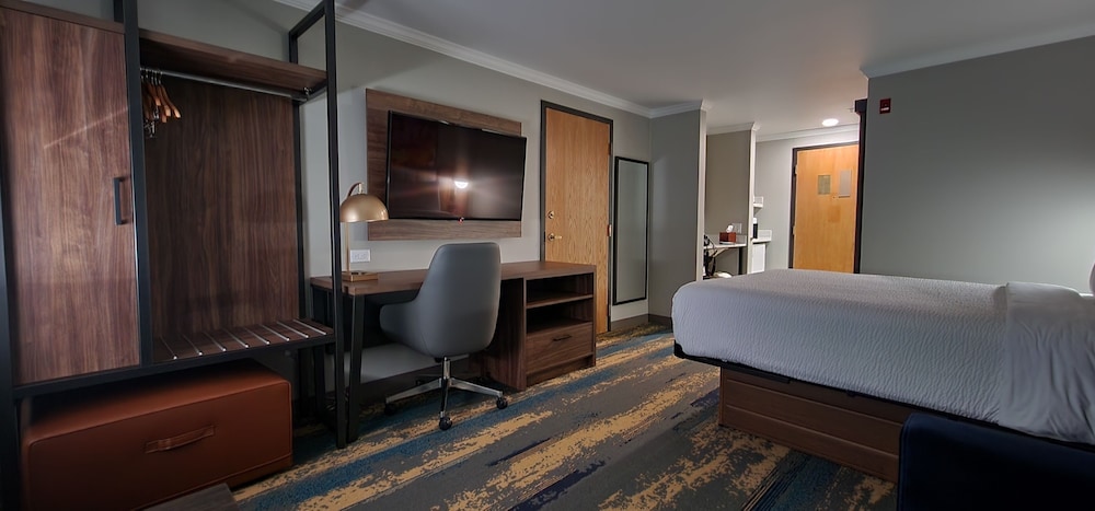 Deluxe Room, 1 Queen Bed, Non Smoking (Efficiency) - Photo 7
