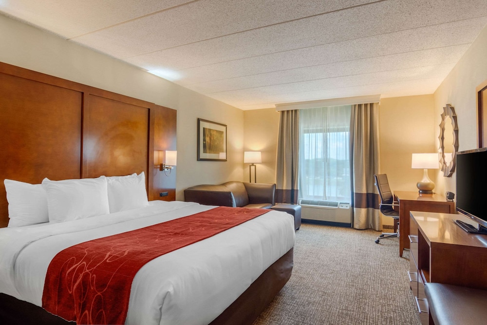 Studio Suite, 1 King Bed with Sofa bed, Accessible (Mobility and Hearing Accessible) - Photo 1