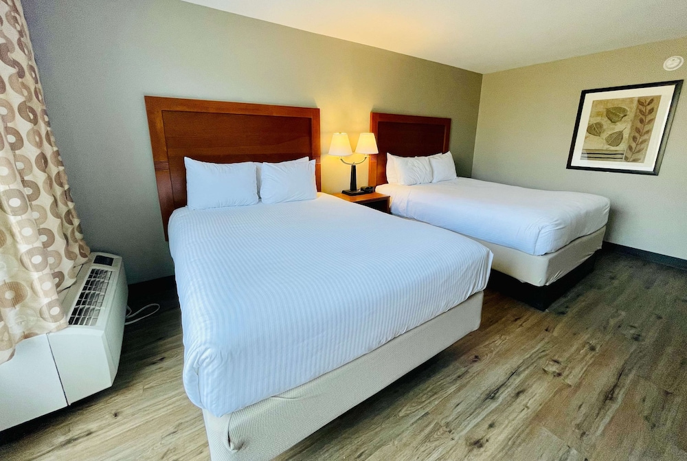 Superior Room, Multiple Beds, Non Smoking (Kitchenette) - Photo 4