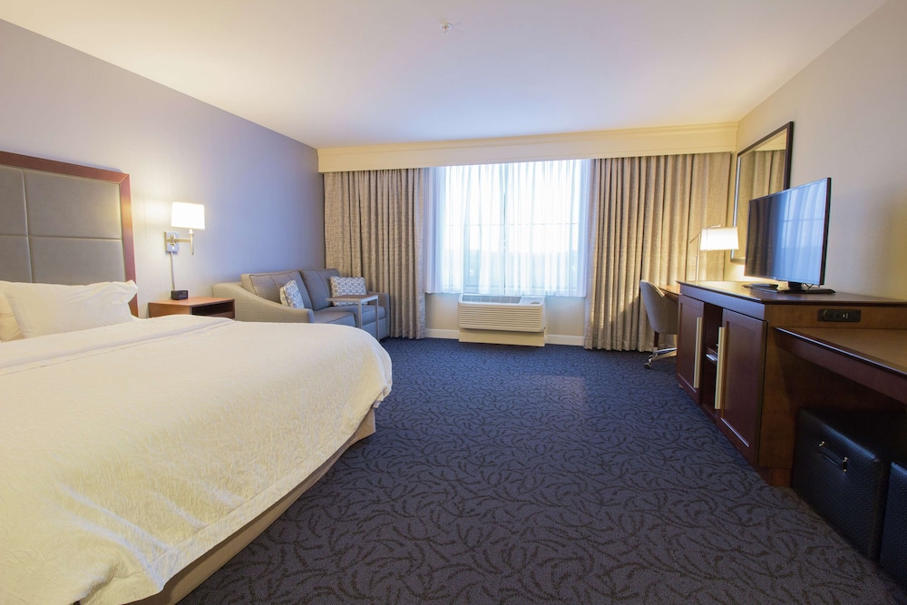 Room, 1 King Bed, Accessible, Non Smoking