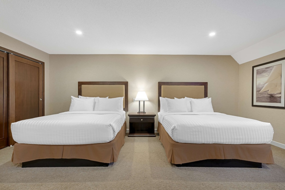 Suite, Multiple Beds, Non Smoking, Refrigerator & Microwave (with Sofabed) - Photo 3