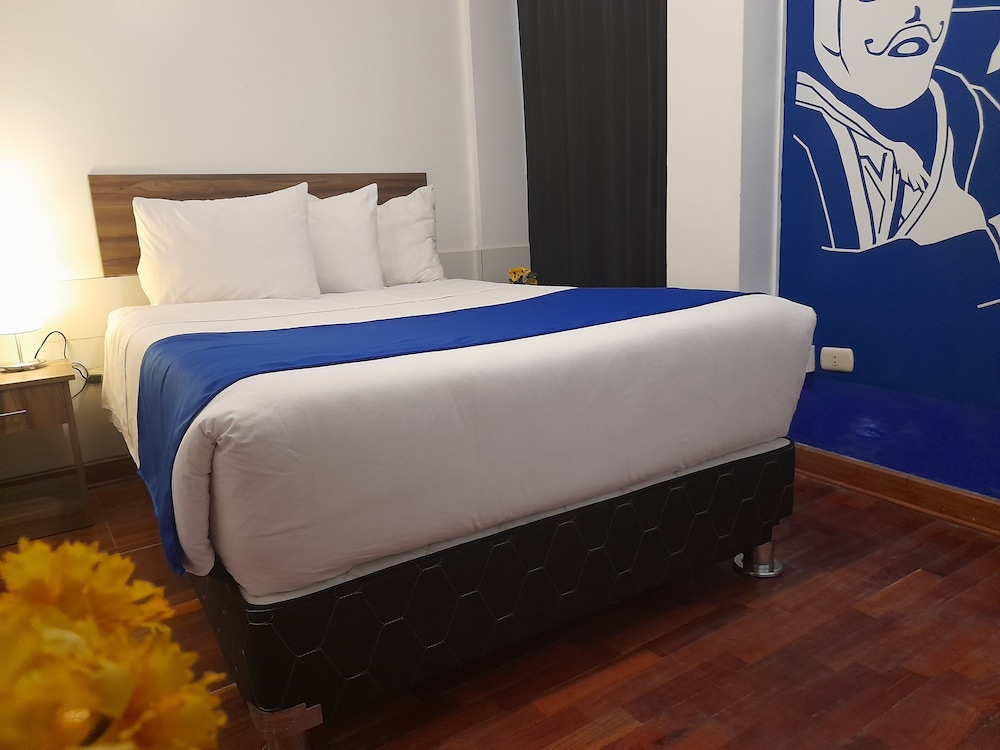 Single Room photo 2