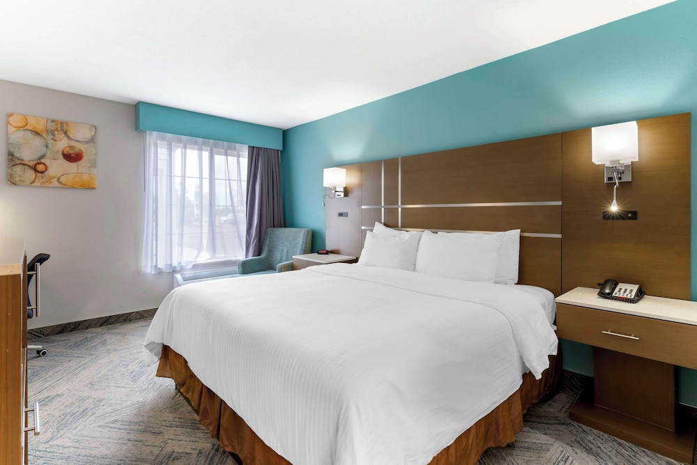 Standard Room, 1 King Bed, Accessible, Non Smoking photo 1