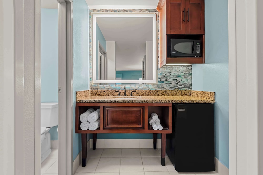 Standard Room, 1 King Bed, Accessible, Refrigerator & Microwave - Photo 5