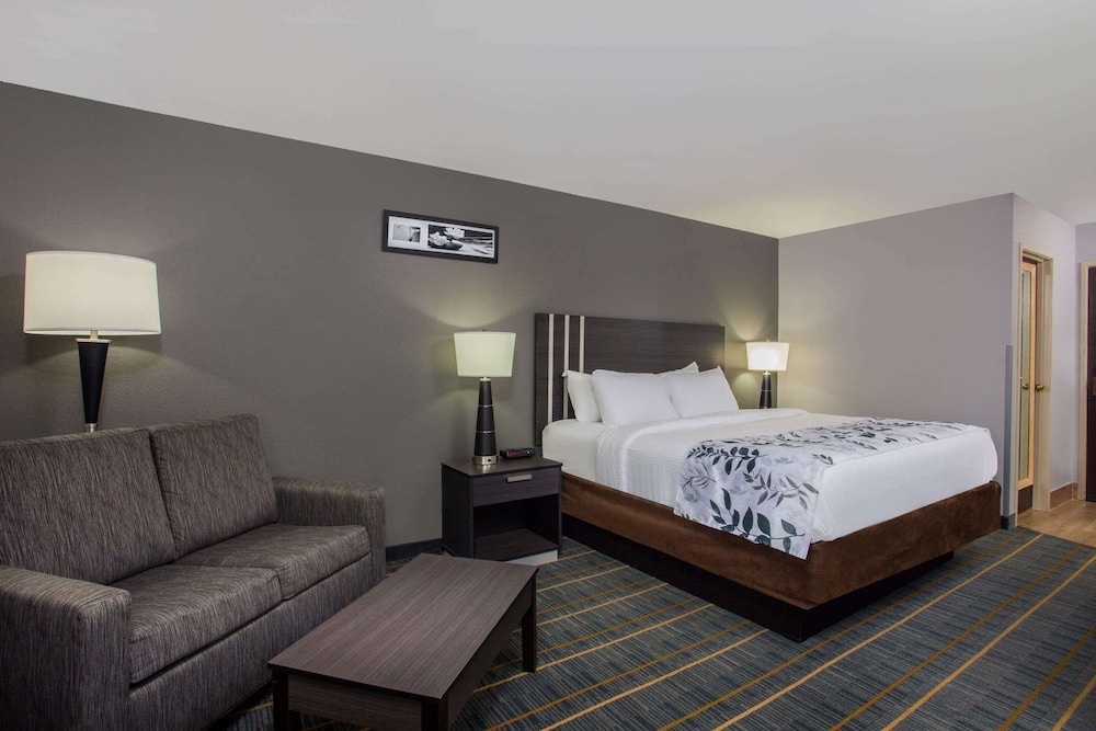 Deluxe Room, 1 King Bed, Non Smoking - Photo 1