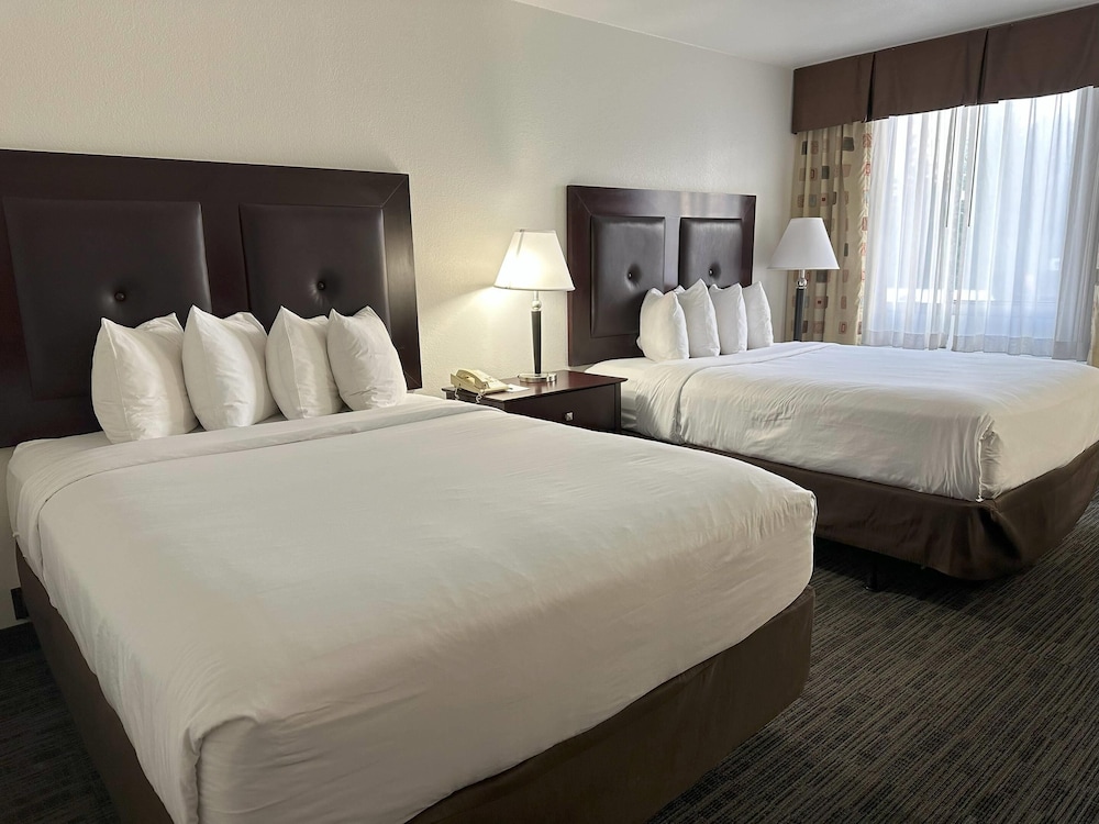 Room, Multiple Beds, Non Smoking - Photo 8
