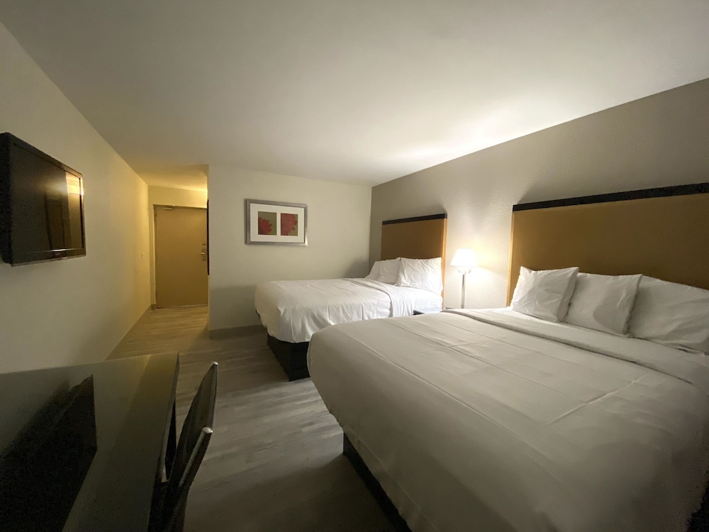 Standard Double Room, Multiple Beds photo 1