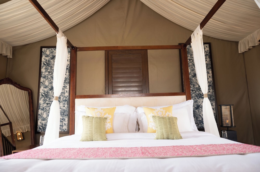 Premier Tent photo 2